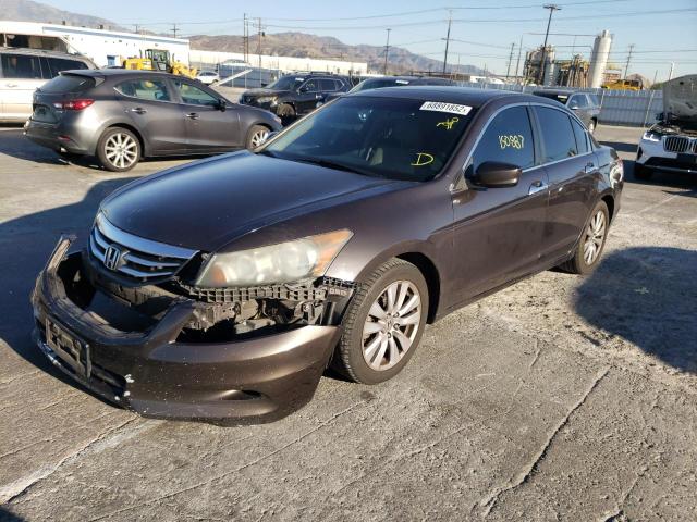 HONDA ACCORD EXL 2011 1hgcp3f8xba013666