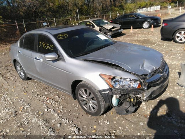 HONDA ACCORD 2011 1hgcp3f8xba017491