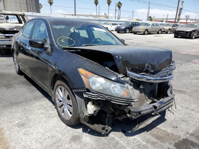 HONDA ACCORD EXL 2011 1hgcp3f8xba019483