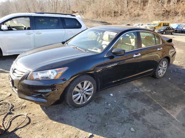 HONDA ACCORD 2011 1hgcp3f8xba019645