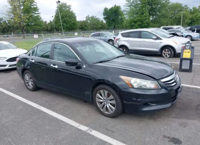 HONDA ACCORD SDN 2011 1hgcp3f8xba021900