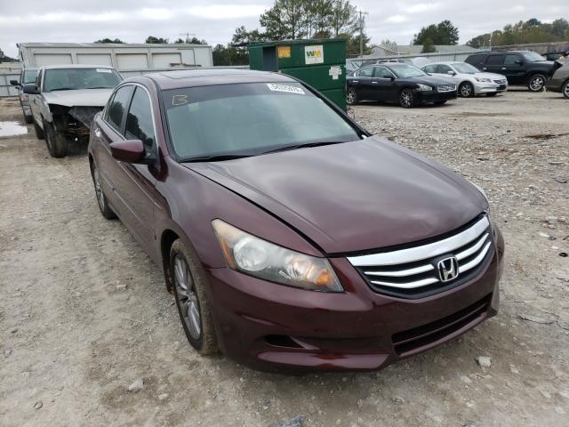 HONDA ACCORD EXL 2011 1hgcp3f8xba025736