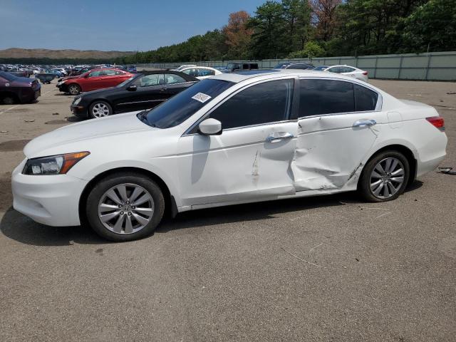 HONDA ACCORD 2011 1hgcp3f8xba026966