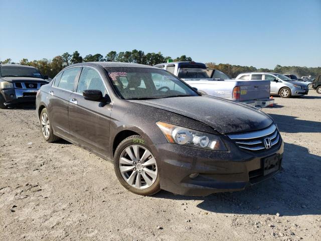 HONDA ACCORD EXL 2011 1hgcp3f8xba026997