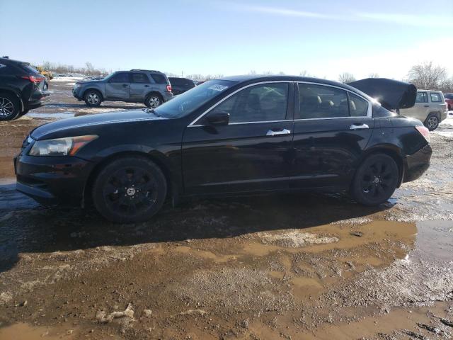 HONDA ACCORD EXL 2011 1hgcp3f8xba800410