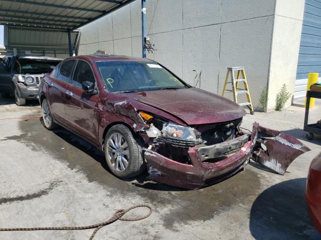 HONDA ACCORD EXL 2012 1hgcp3f8xca017203