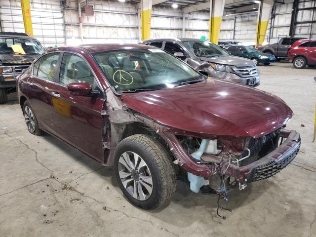 HONDA ACCORD LX 2013 1hgcr2f36da116692