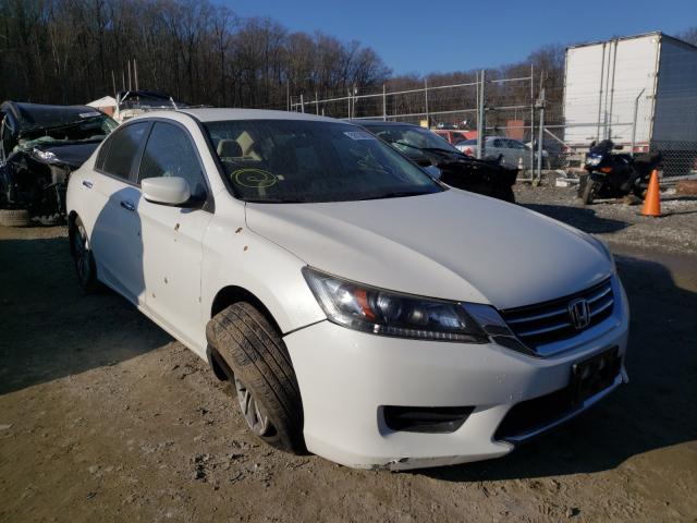 HONDA ACCORD LX 2013 1hgcr2f37da166663