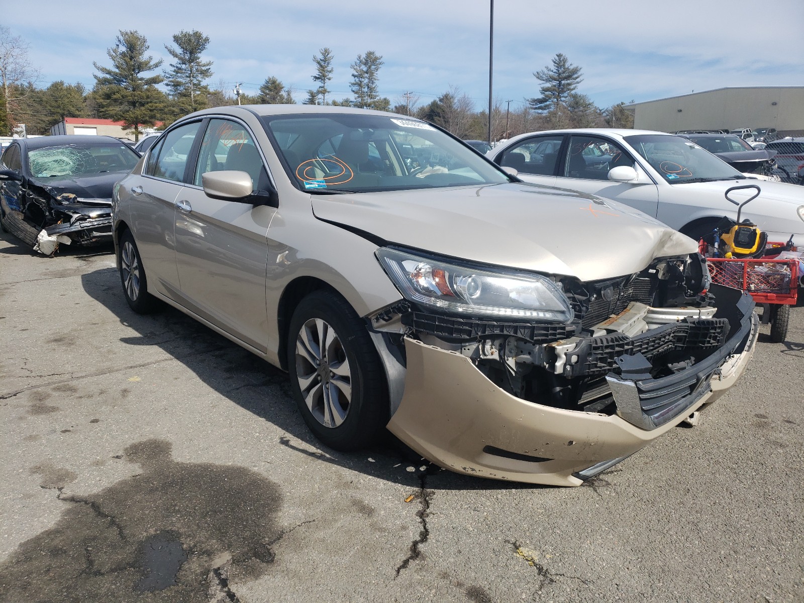 HONDA ACCORD LX 2013 1hgcr2f37da238493