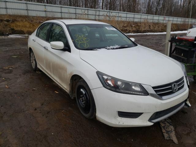 HONDA ACCORD LX 2013 1hgcr2f38da096400