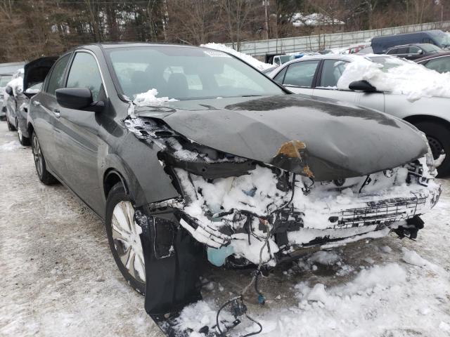 HONDA ACCORD LX 2013 1hgcr2f38da174500