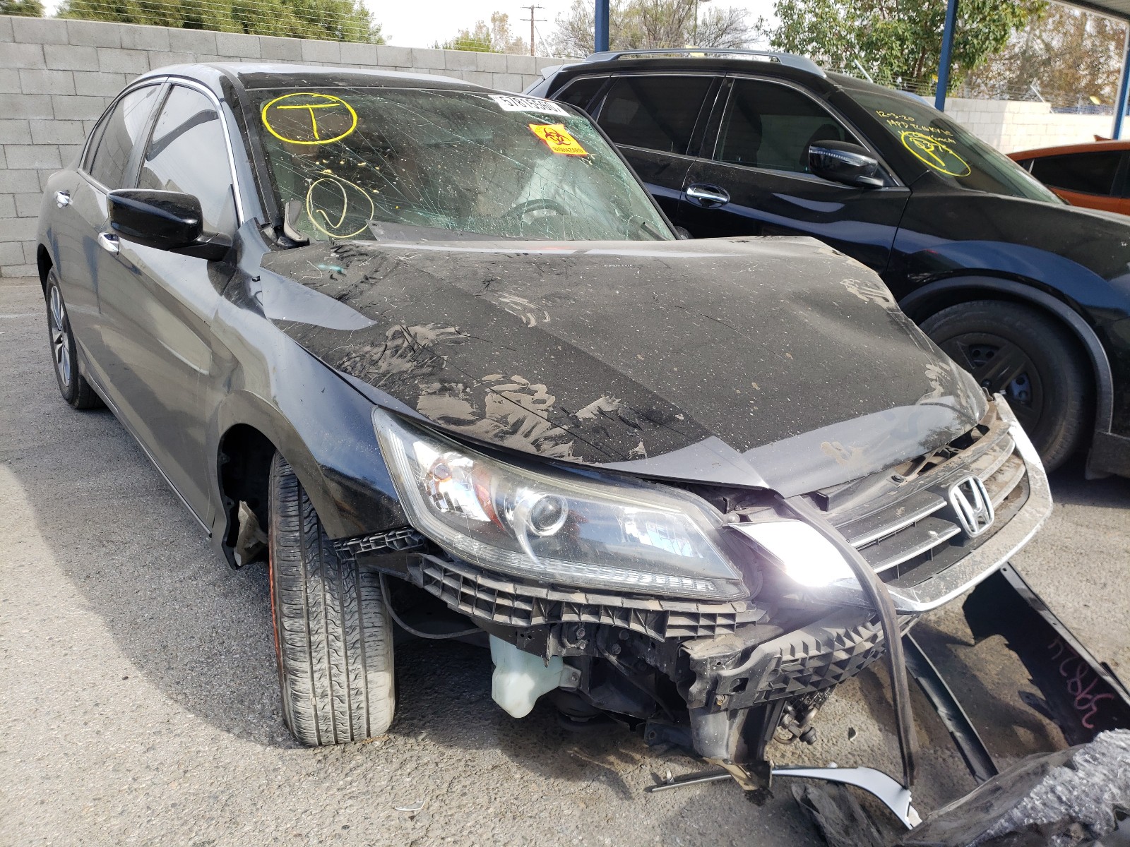 HONDA ACCORD LX 2013 1hgcr2f38da276878