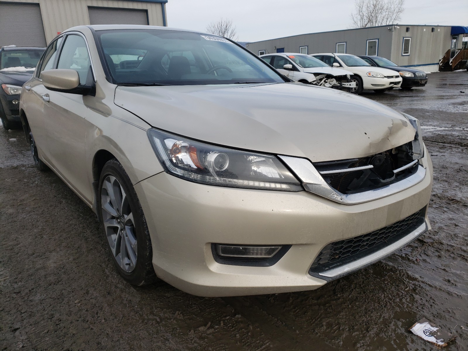 HONDA ACCORD SPO 2013 1hgcr2f51da233405