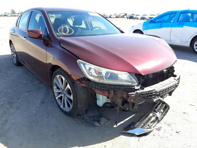 HONDA ACCORD SPO 2014 1hgcr2f51ea007141