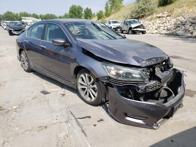 HONDA ACCORD SPO 2013 1hgcr2f52da017224