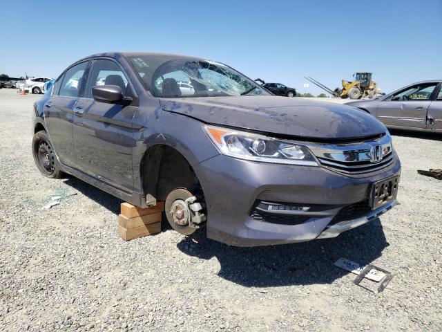 HONDA ACCORD SPO 2016 1hgcr2f52ga210526