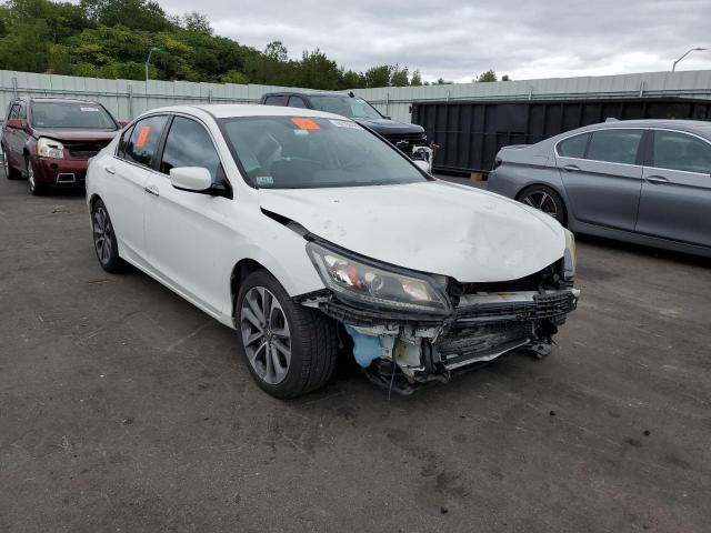 HONDA ACCORD SPO 2013 1hgcr2f53da105800