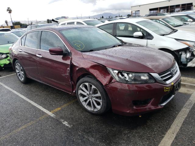 HONDA ACCORD SPO 2013 1hgcr2f54da269296