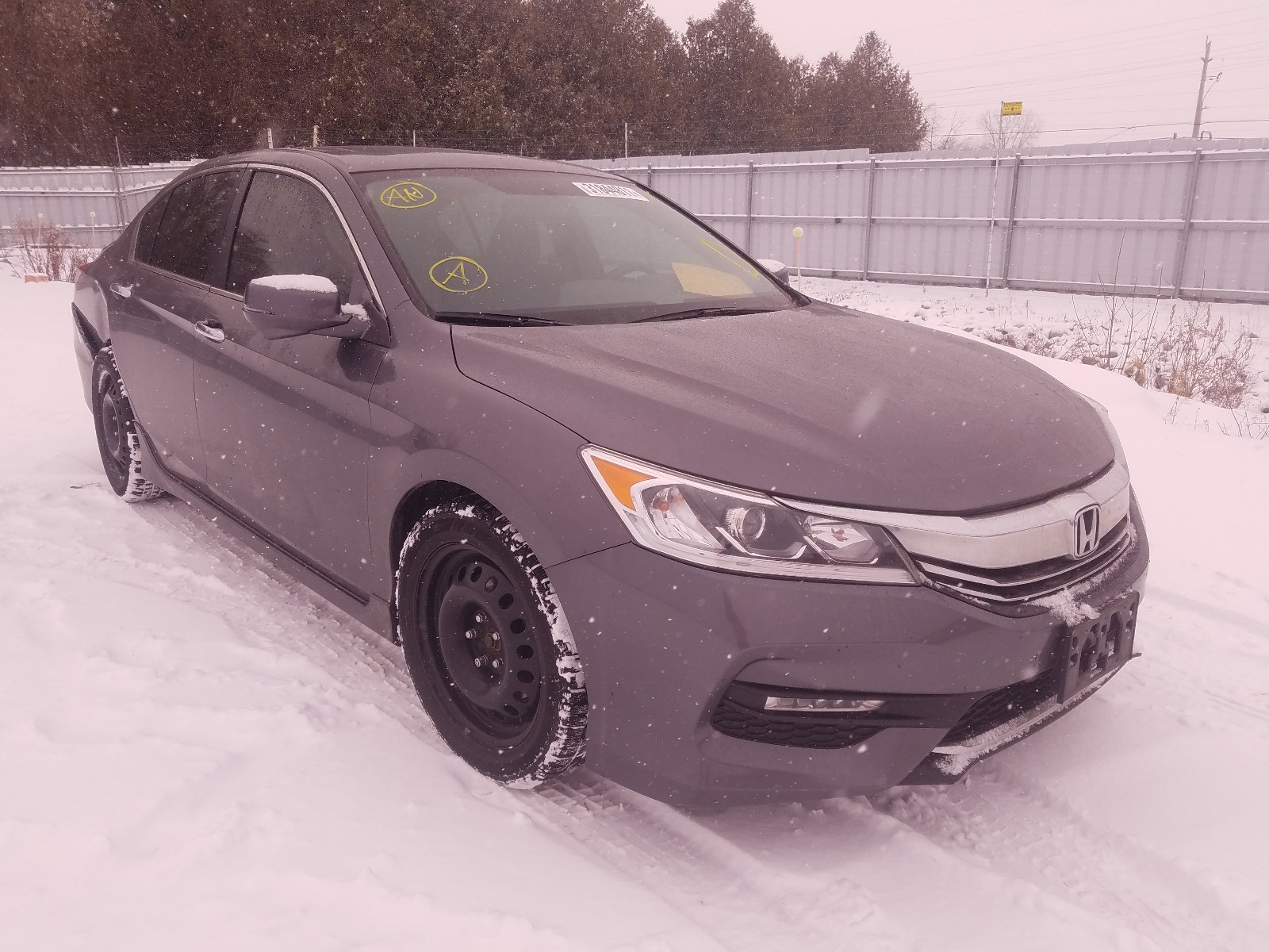 HONDA ACCORD SPO 2017 1hgcr2f55ha811317