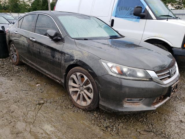 HONDA ACCORD SPO 2013 1hgcr2f56da124325