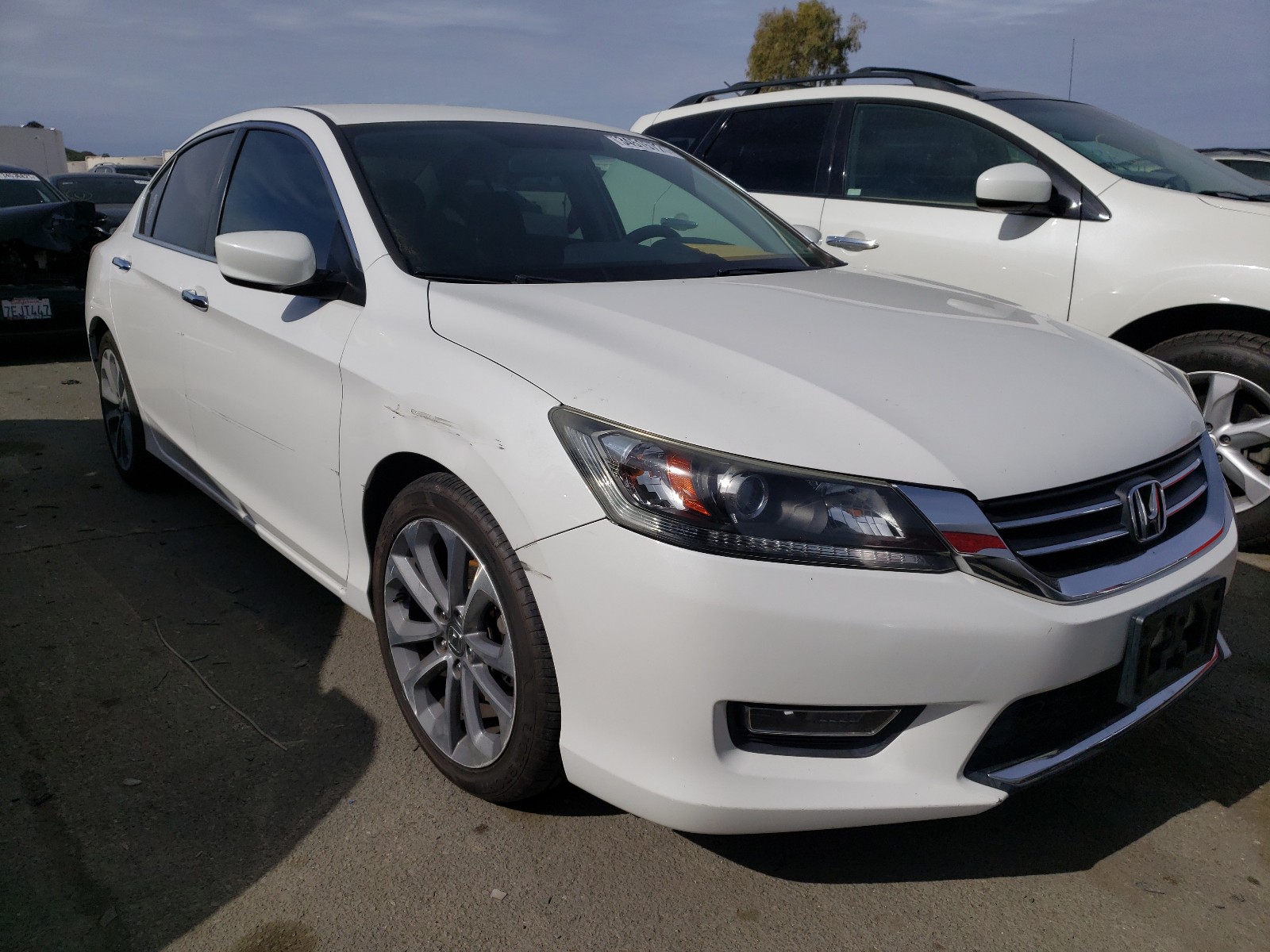 HONDA ACCORD SPO 2013 1hgcr2f57da244912