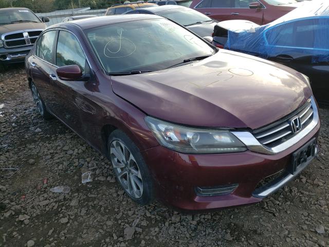 HONDA ACCORD SPO 2013 1hgcr2f58da160680