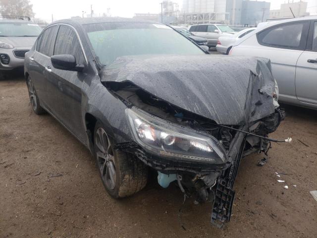 HONDA ACCORD SPO 2013 1hgcr2f58da237466