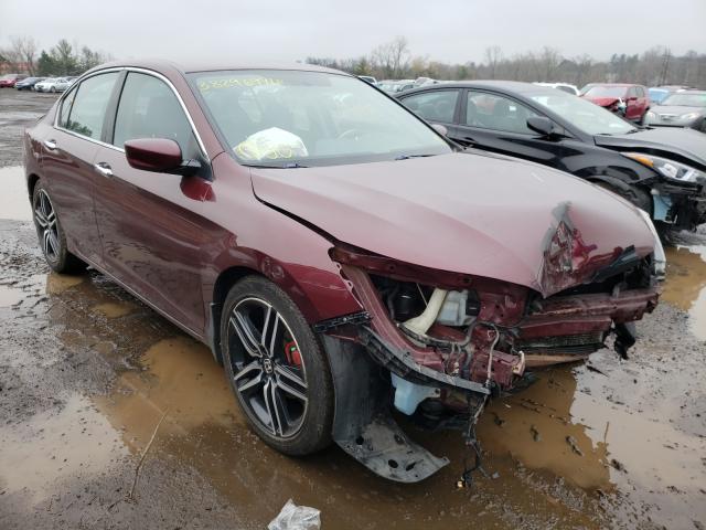 HONDA ACCORD SPO 2013 1hgcr2f59da059843