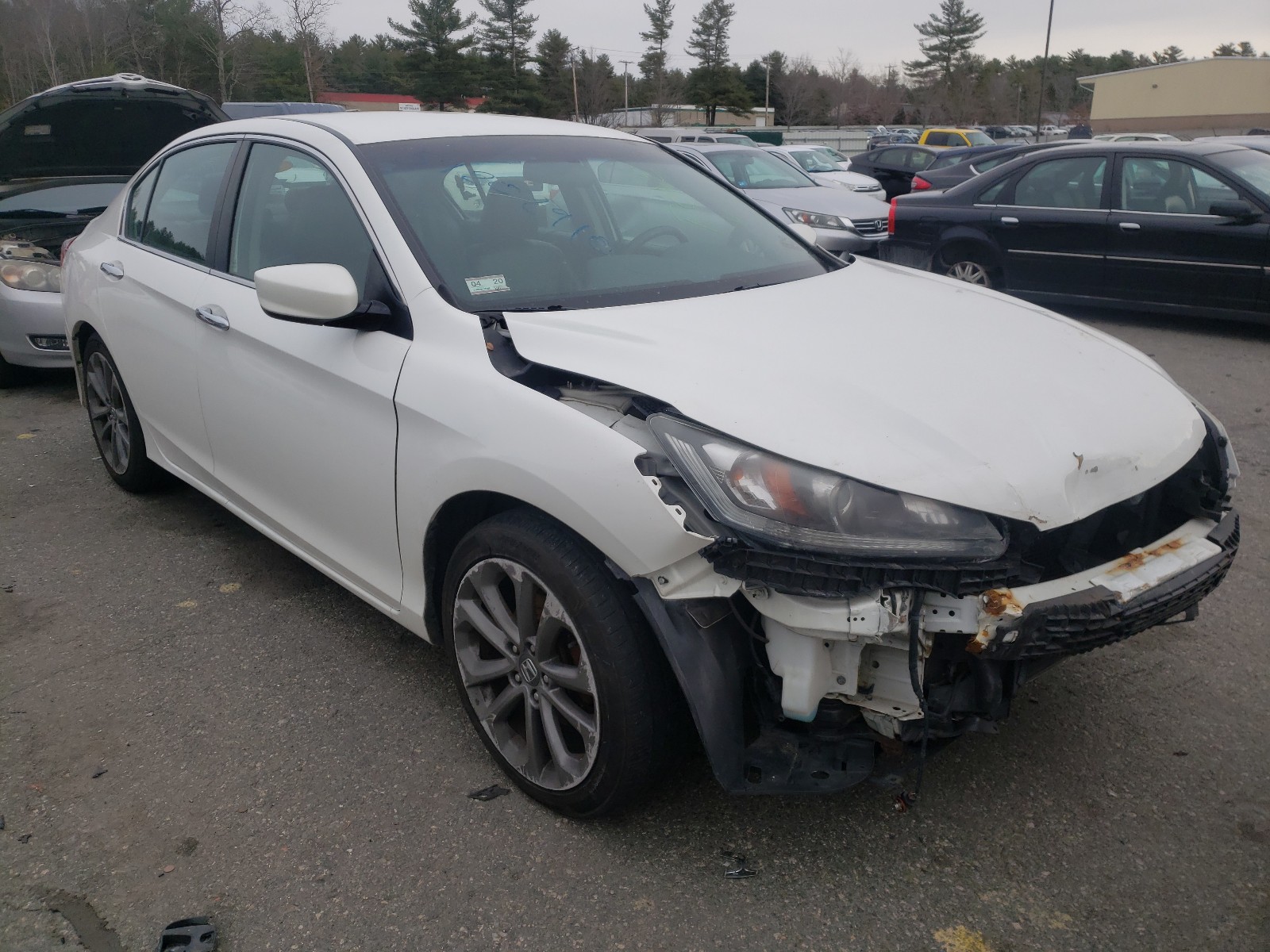 HONDA ACCORD SPO 2013 1hgcr2f59da142611