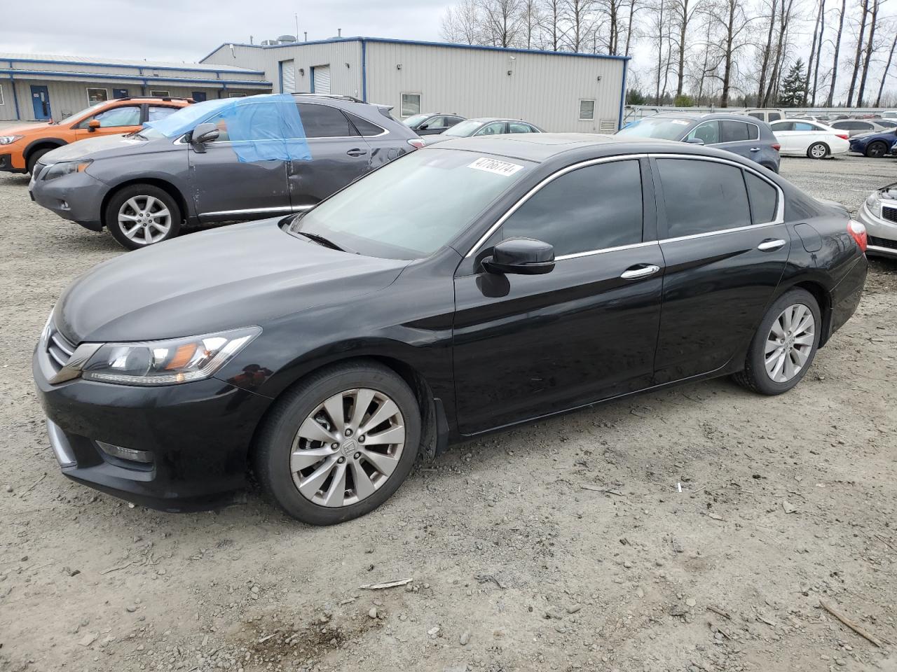 HONDA ACCORD 2013 1hgcr2f81da019850