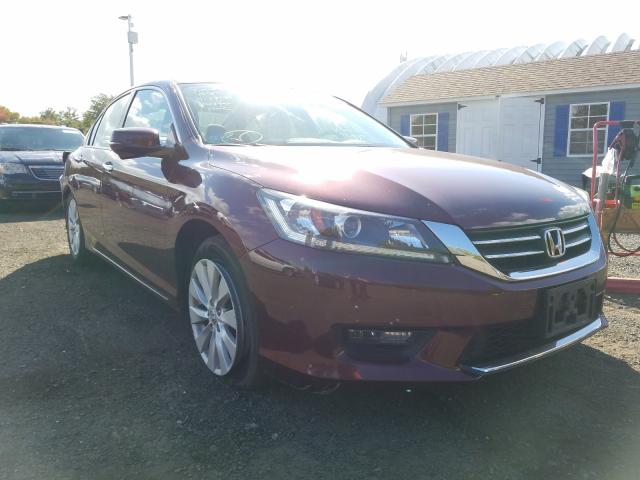 HONDA ACCORD EXL 2014 1hgcr2f86ea177571