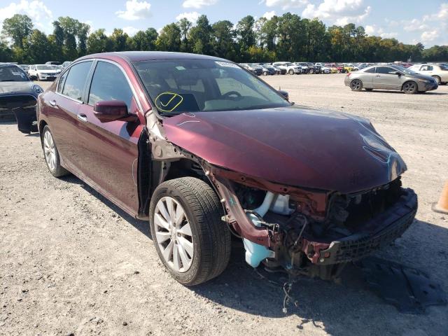 HONDA ACCORD EXL 2014 1hgcr2f8xea037569