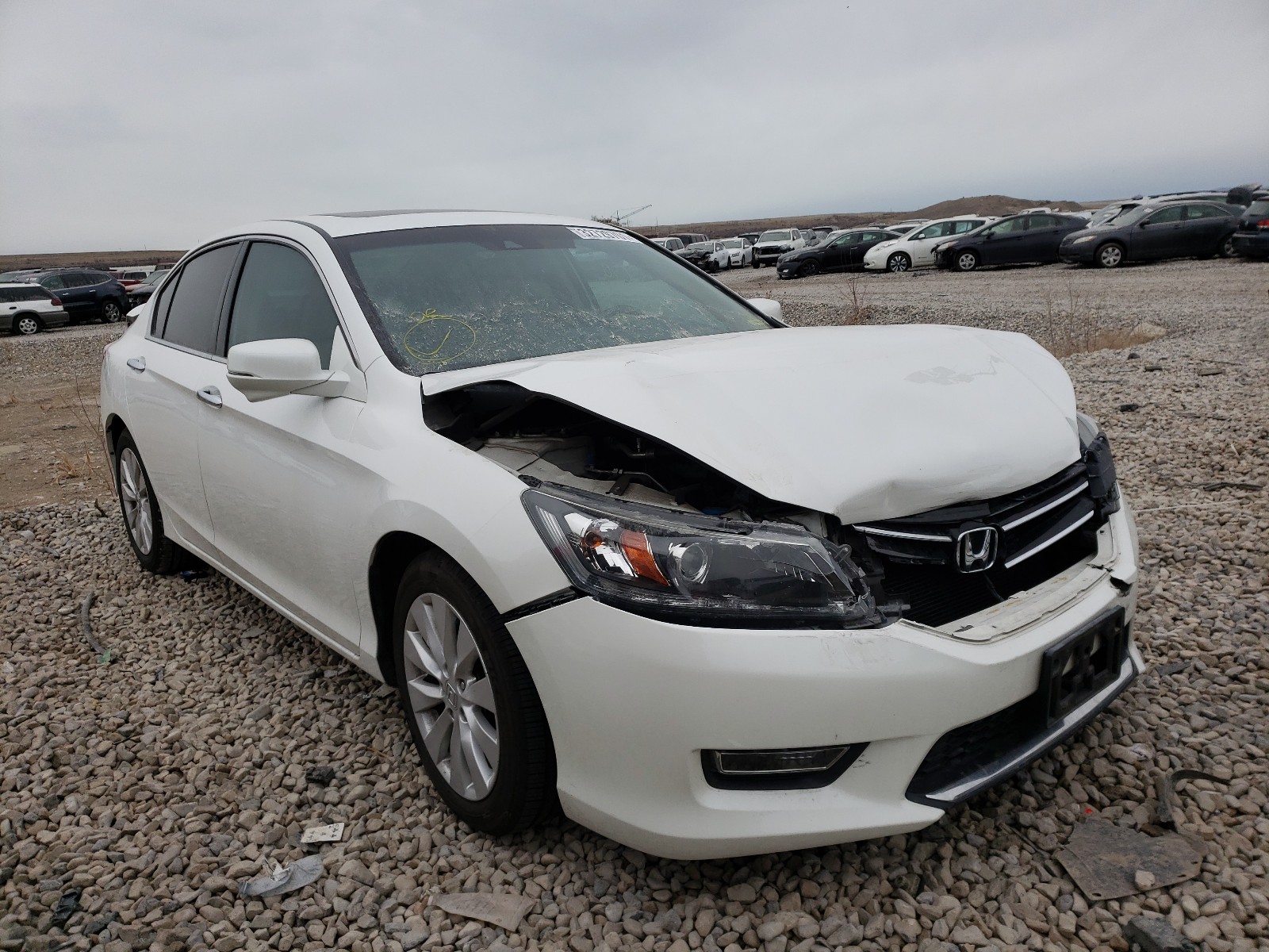 HONDA ACCORD EXL 2013 1hgcr3f81da017991