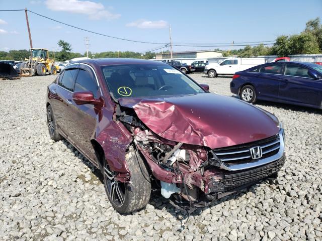 HONDA ACCORD EXL 2014 1hgcr3f83ea008582