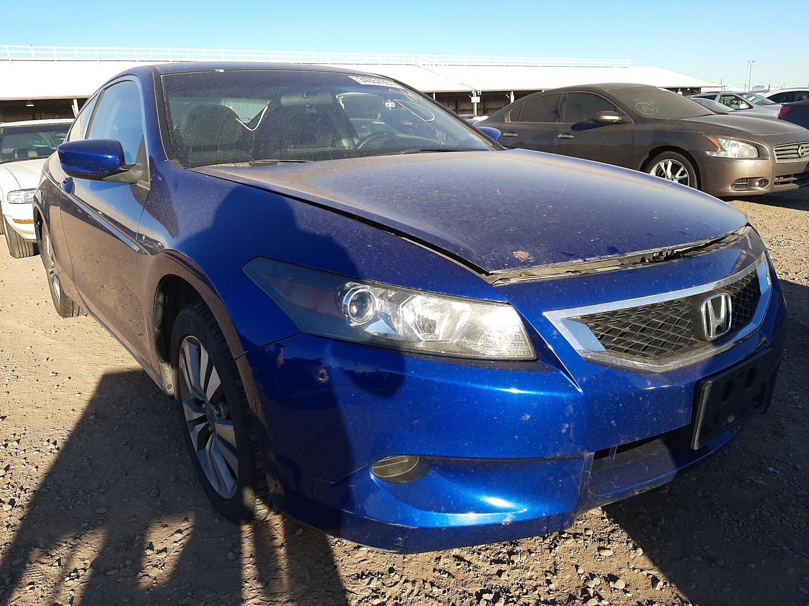 HONDA ACCORD LX 2010 1hgcs1b32aa011244