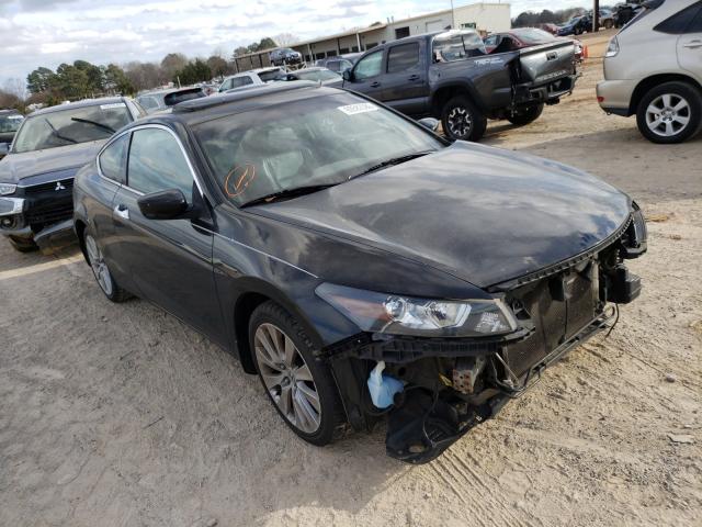 HONDA ACCORD EXL 2010 1hgcs2b81aa003900