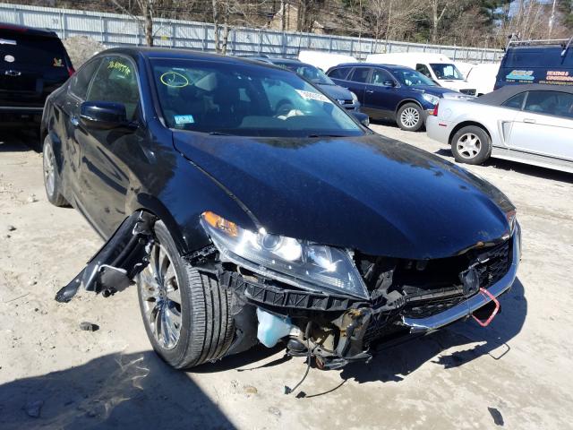 HONDA ACCORD EXL 2013 1hgct1b83da007569