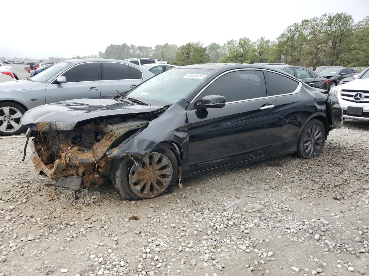 HONDA ACCORD 2014 1hgct1b83ea005936