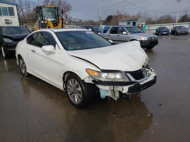 HONDA ACCORD EXL 2013 1hgct1b86da010630