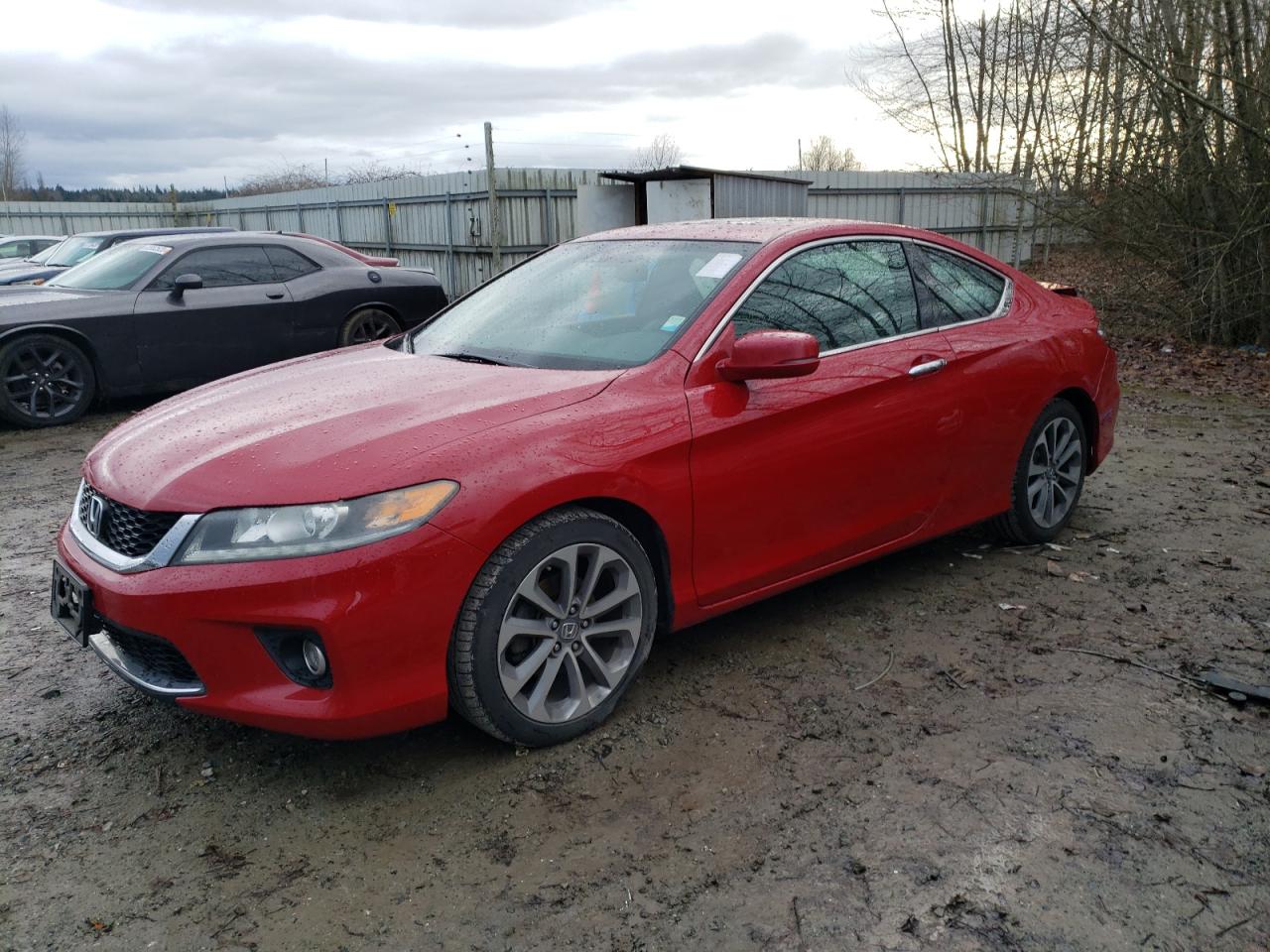 HONDA ACCORD 2014 1hgct2b88ea005873