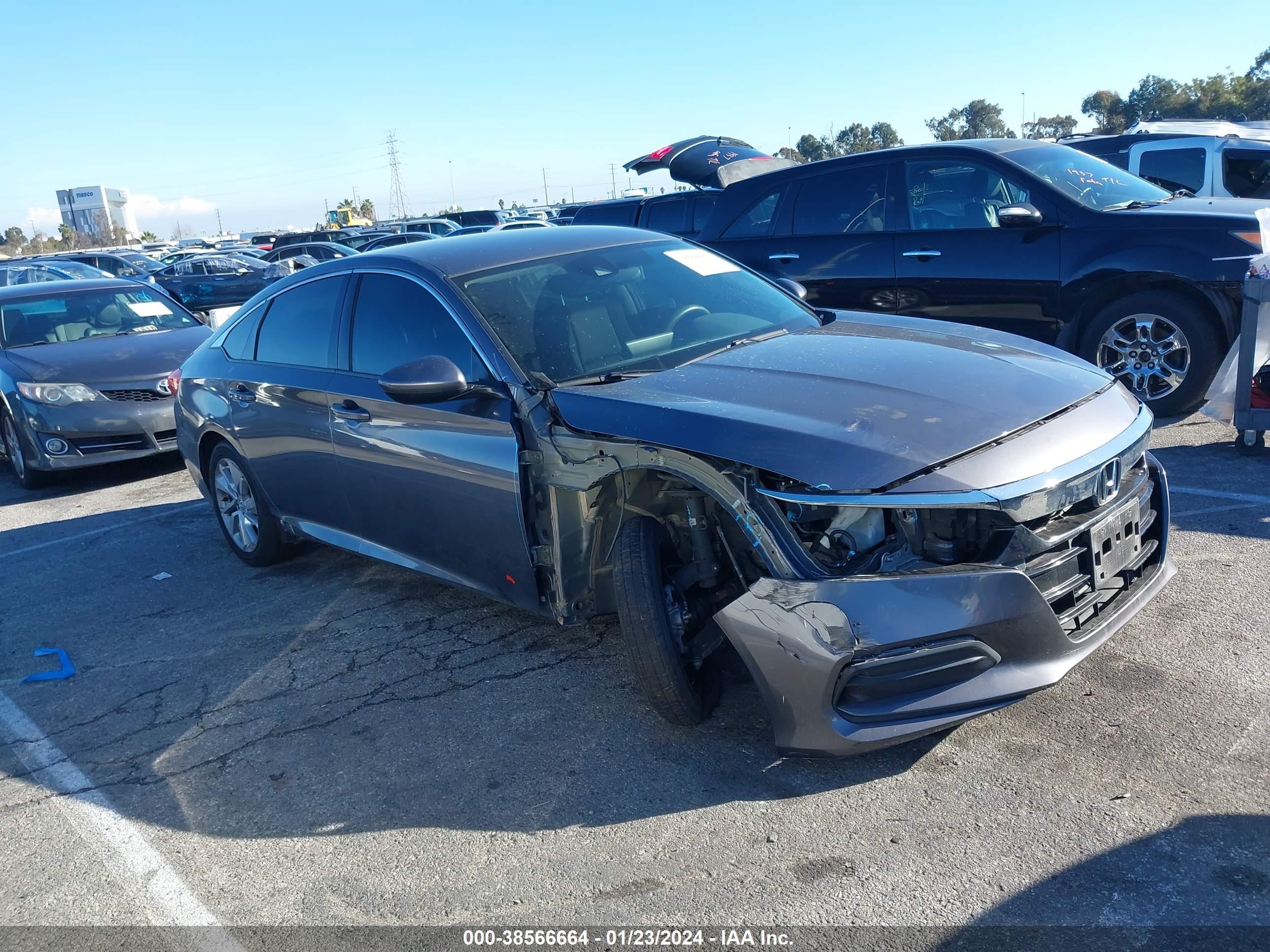 HONDA ACCORD 2019 1hgcv1f11ka161766