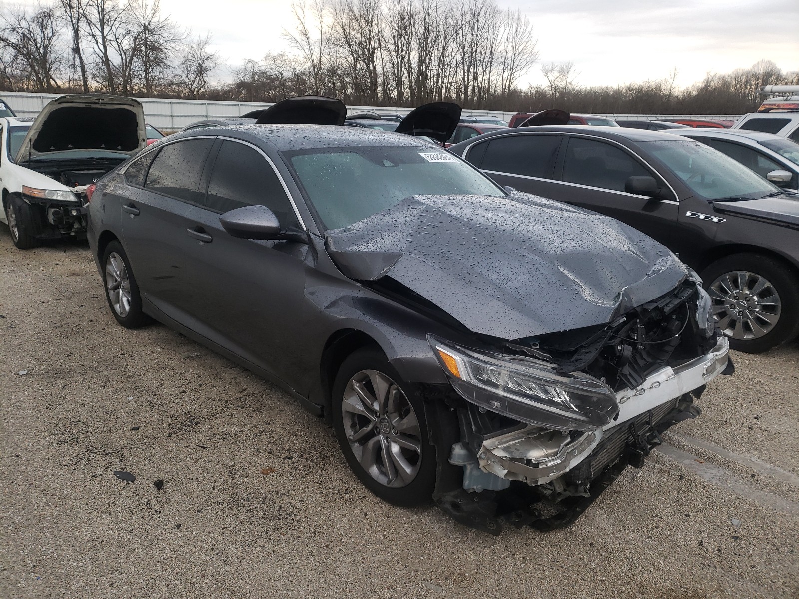 HONDA ACCORD LX 2019 1hgcv1f14ka014647