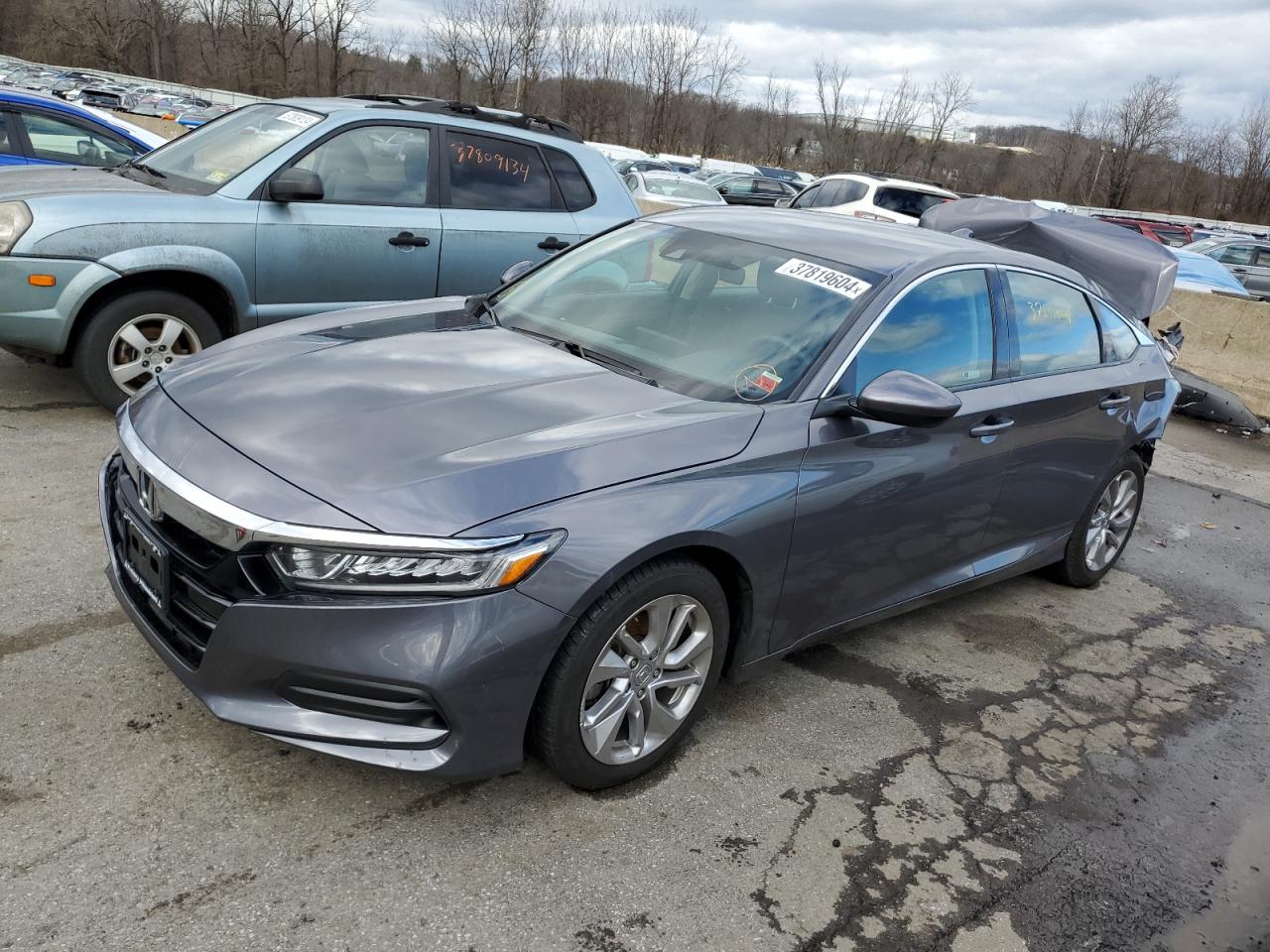 HONDA ACCORD 2019 1hgcv1f15ka172088