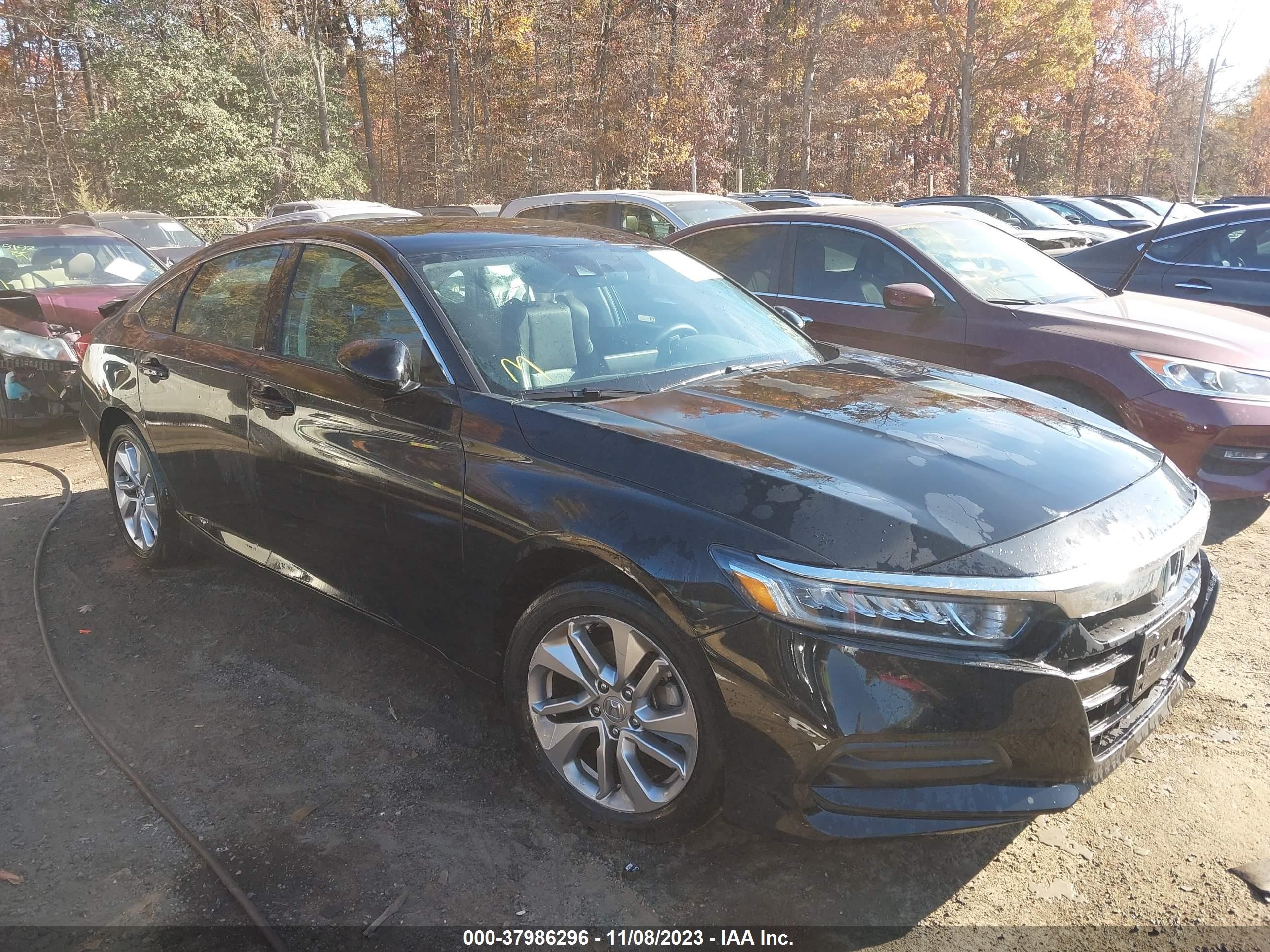 HONDA ACCORD 2019 1hgcv1f17ka115892