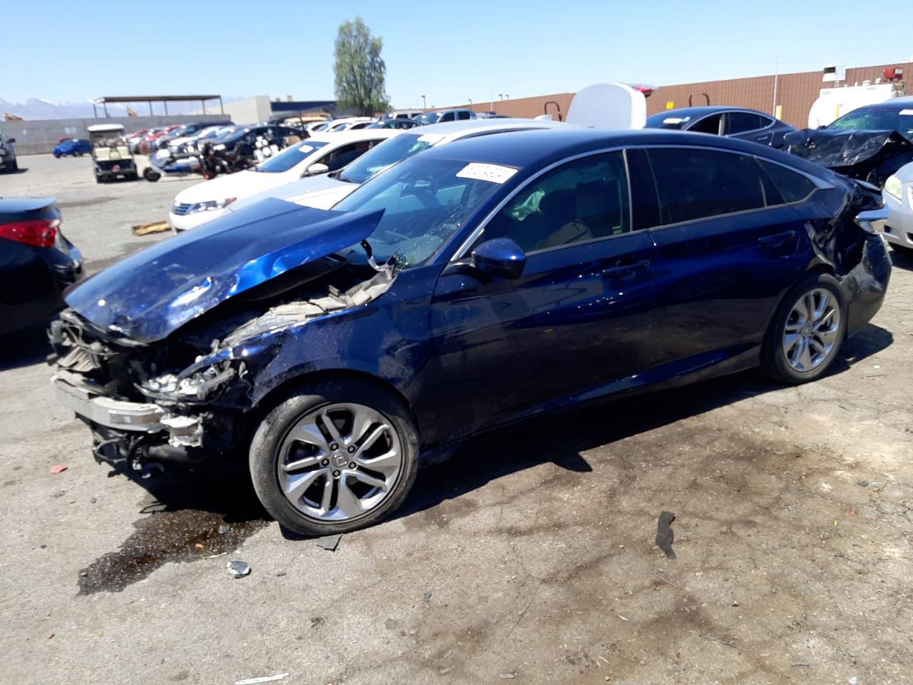 HONDA ACCORD 2019 1hgcv1f18ka069781