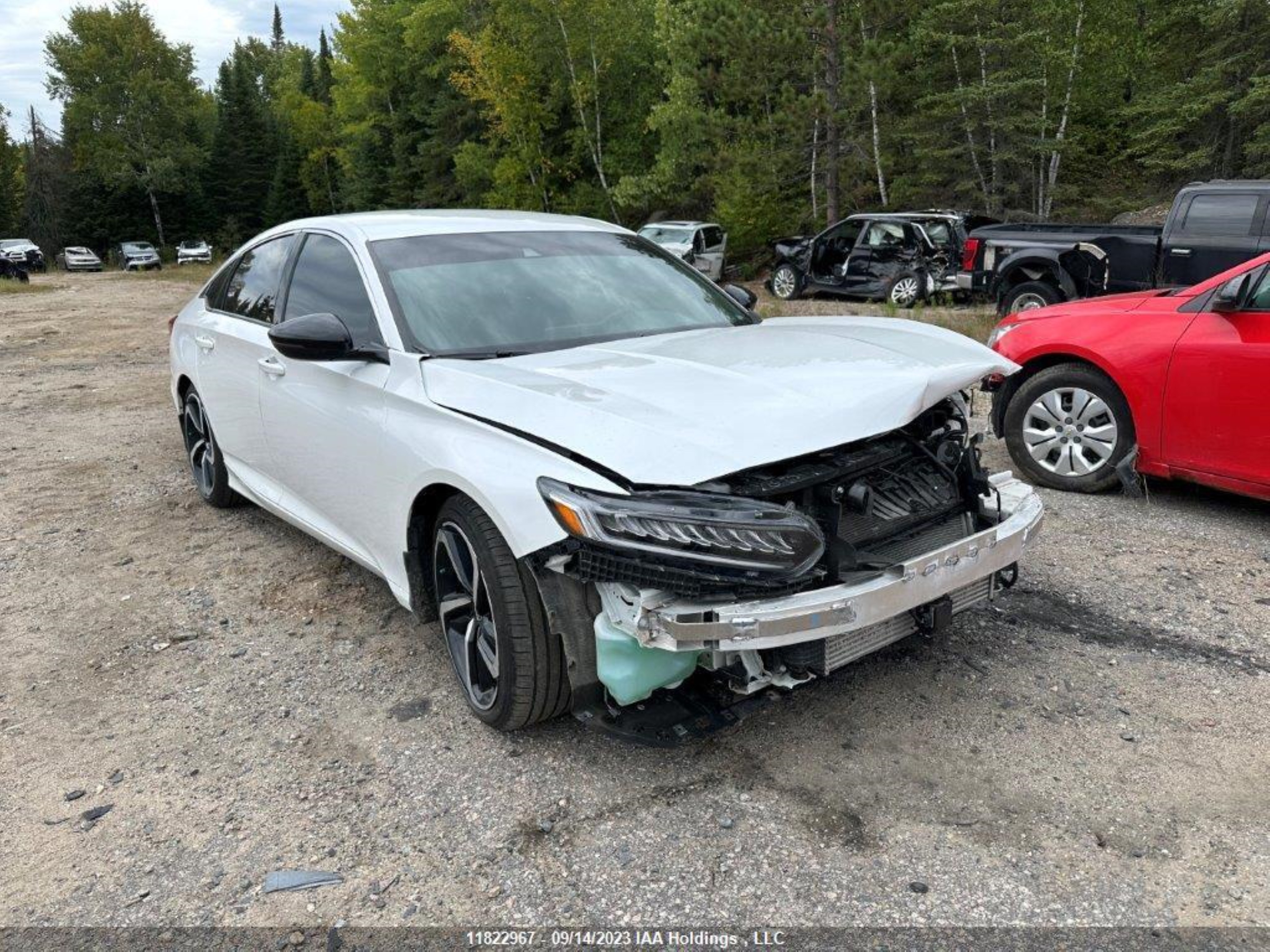 HONDA ACCORD 2022 1hgcv1f22na801531