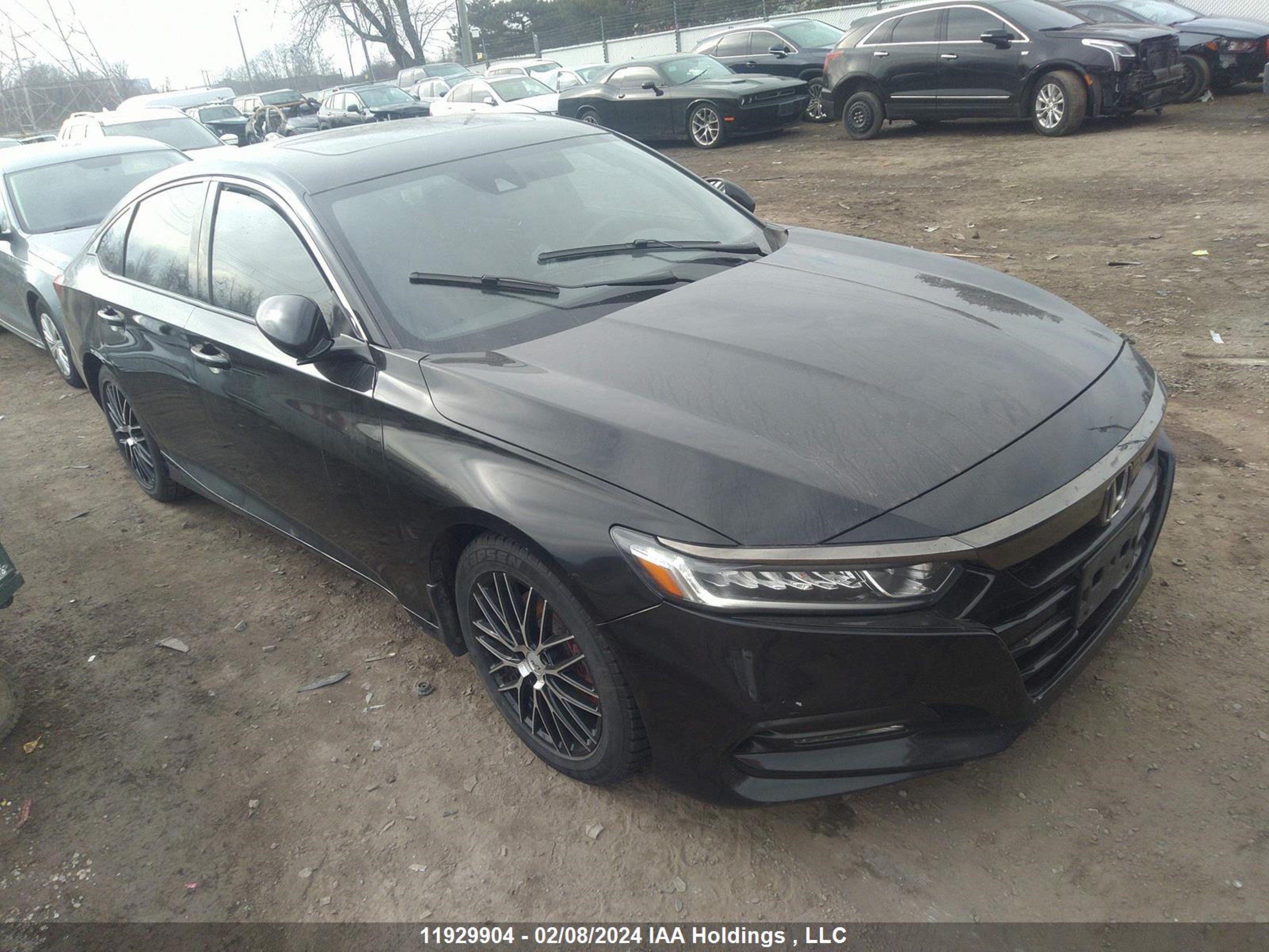 HONDA ACCORD 2019 1hgcv1f30ka801998