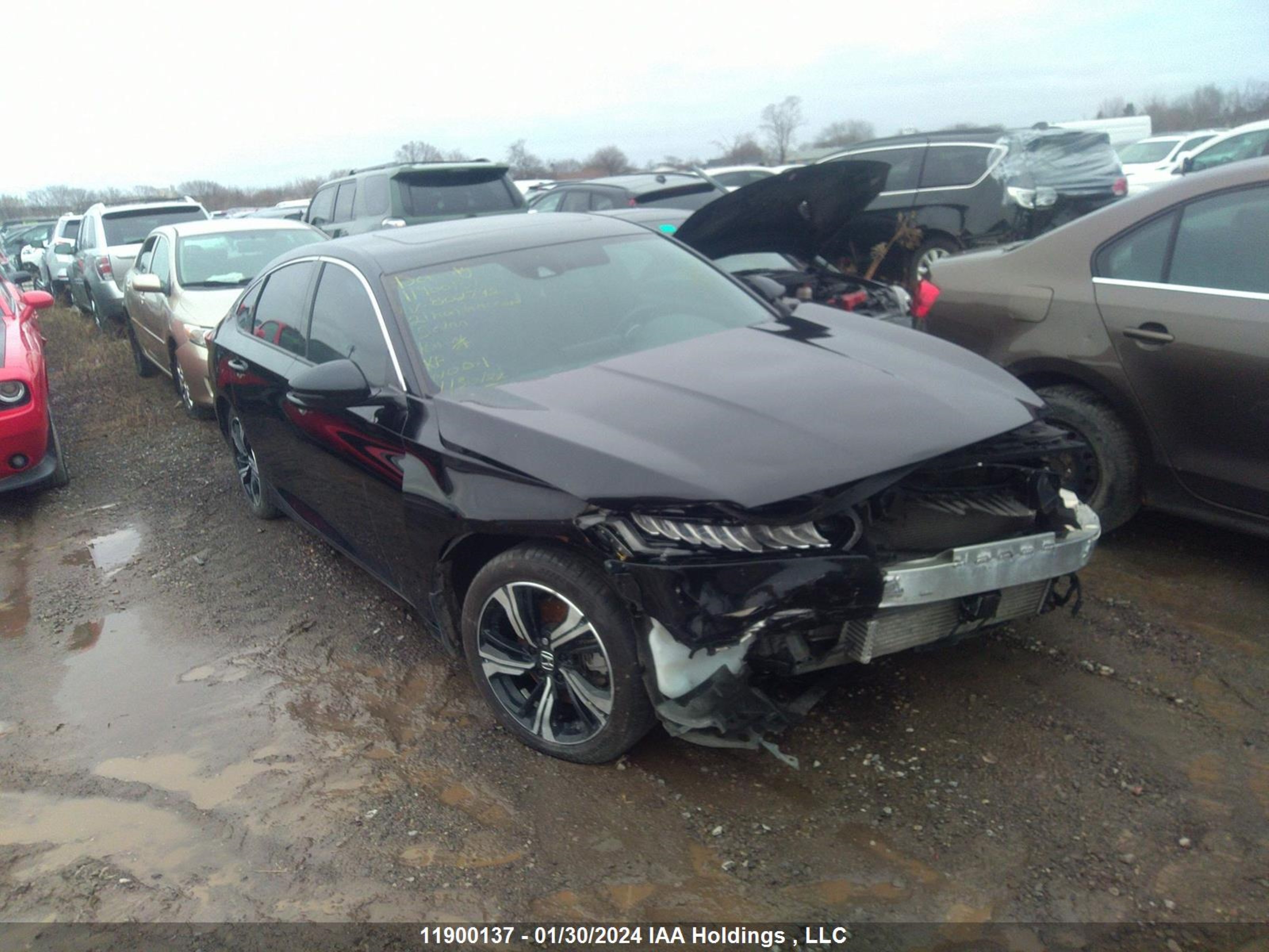 HONDA ACCORD 2021 1hgcv1f33ma802792