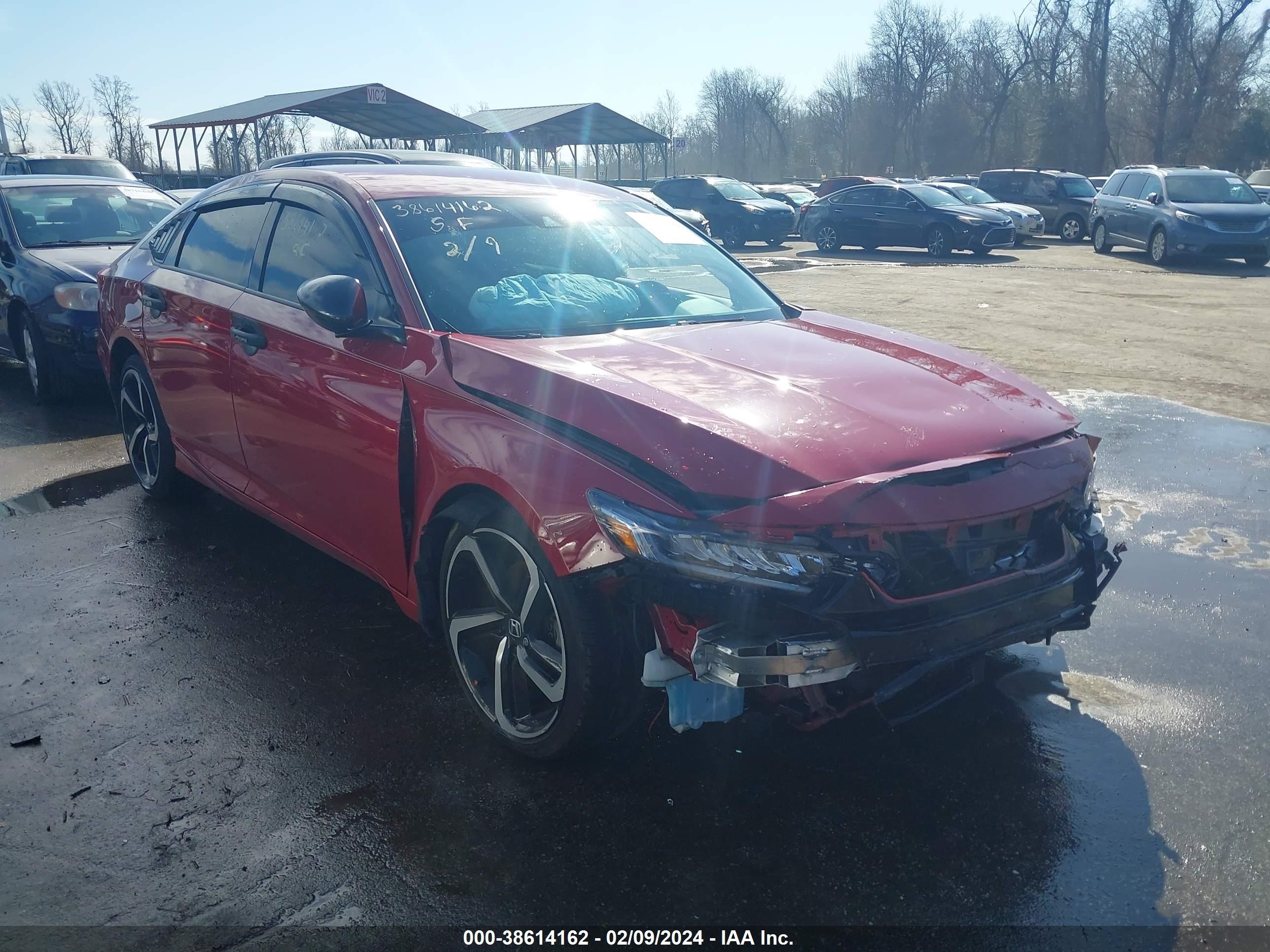 HONDA ACCORD 2019 1hgcv1f37ka102433