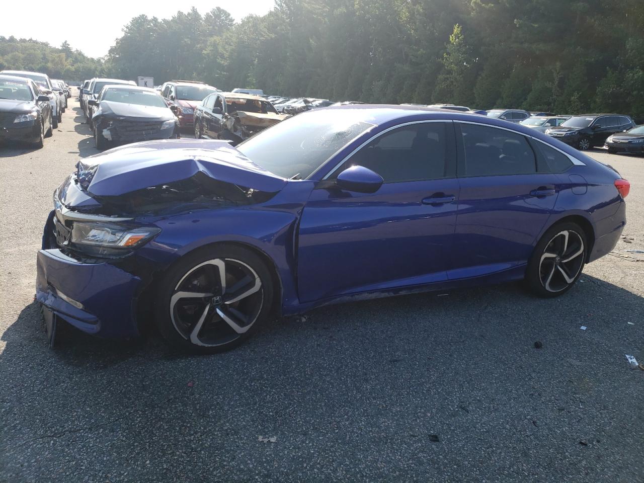 HONDA ACCORD 2019 1hgcv1f37ka105672